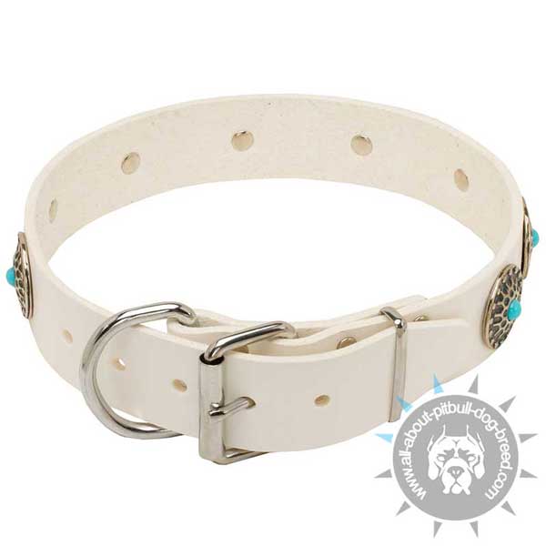 Leather dog colla equipped with rustproof hardware
