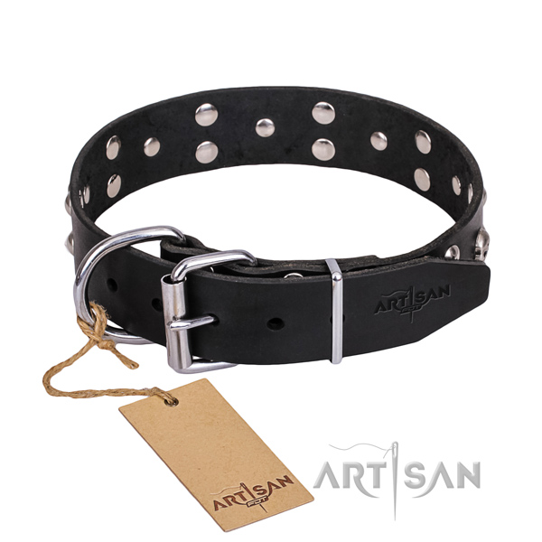 Strong leather dog collar with riveted hardware