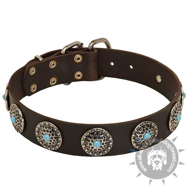 Strong leather dog collar with buckle and D-ring