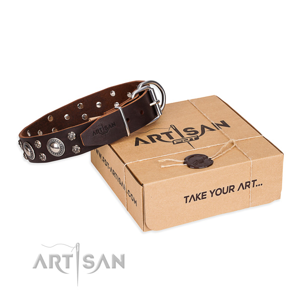 Day-to-day leather dog collar with luxurious embellishments