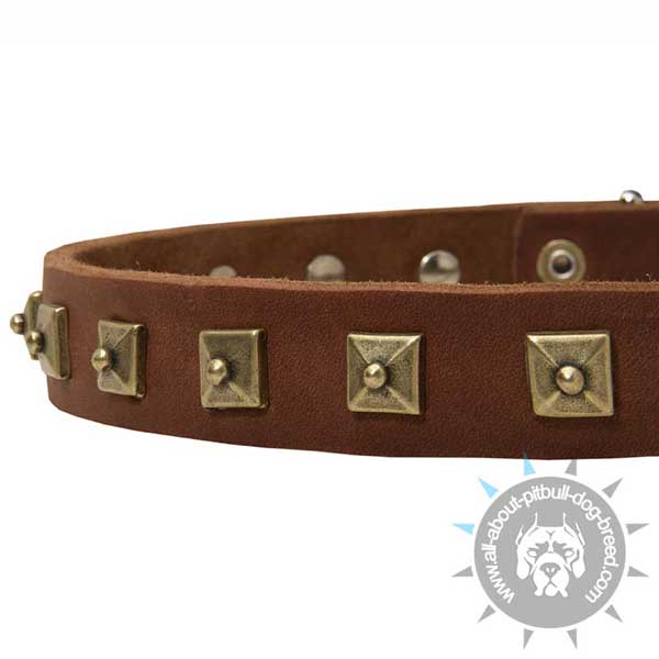 Exquisite leather dog collar