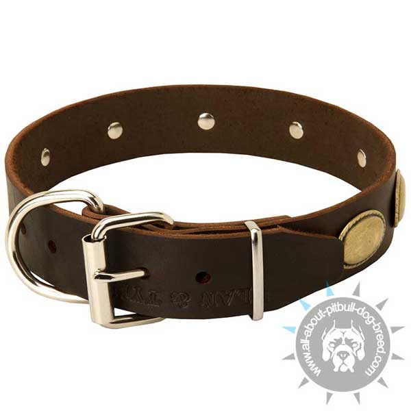 Reliable leather dog collar