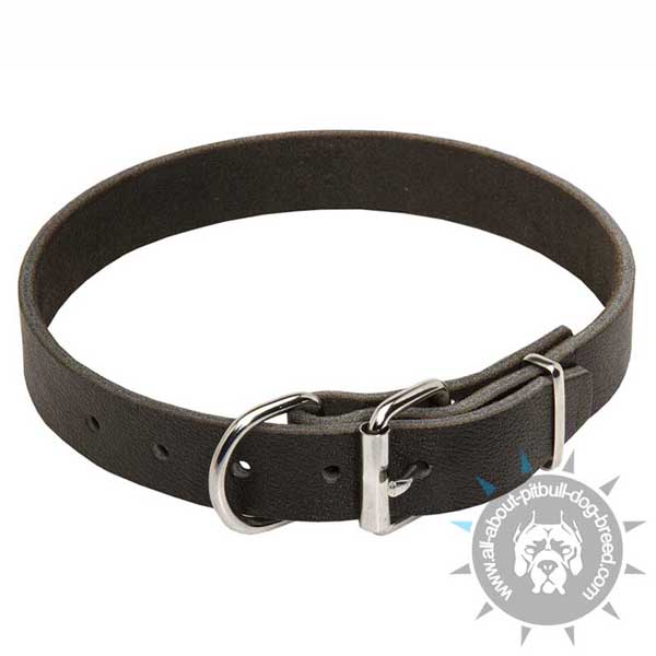 Durable leather dog collar