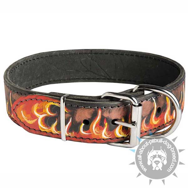 Strong leather dog     collar with buckle and D-ring