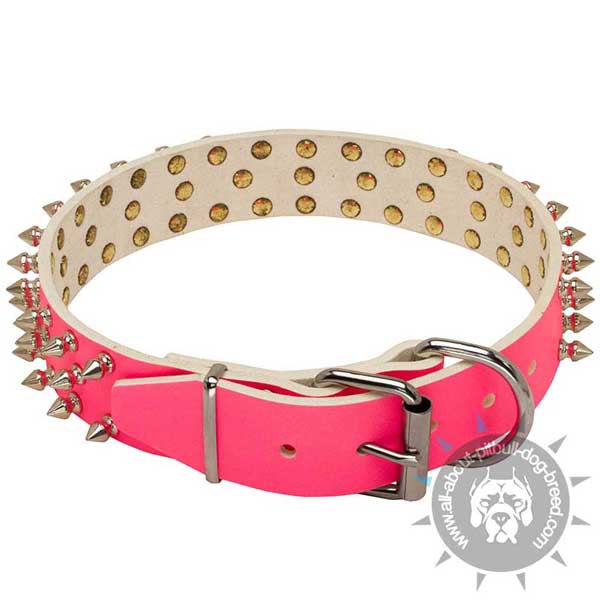 Trendy pink leather dog collar with nickel plated fittings
