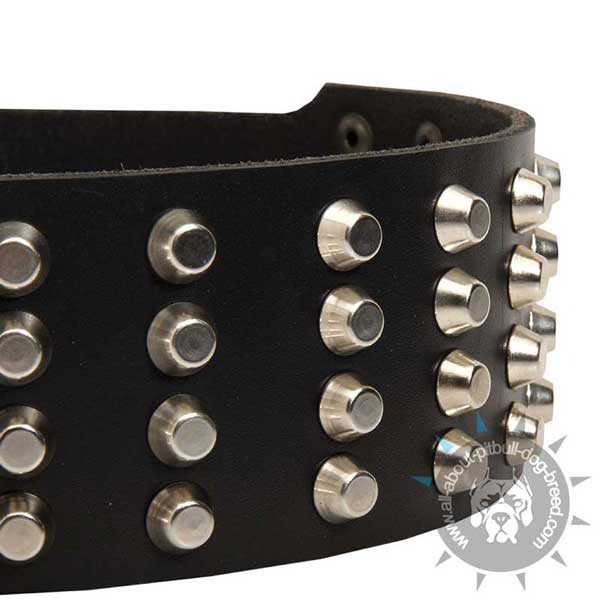 Strong leather dog collar with buckle and D-ring