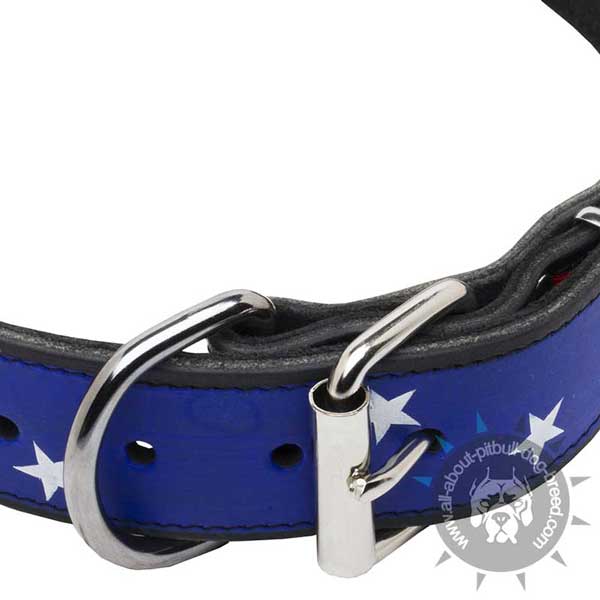 Strong leather dog collar with buckle and D-ring