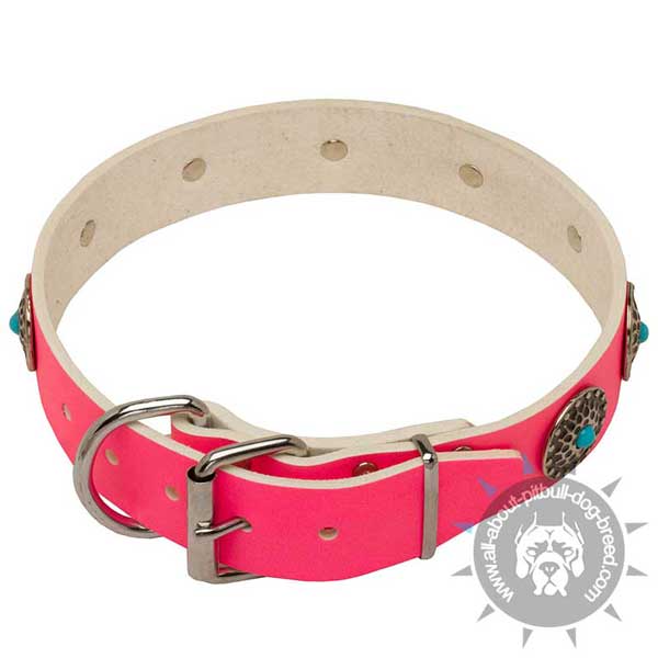 Fashion Pit Bull collar easily adjustable