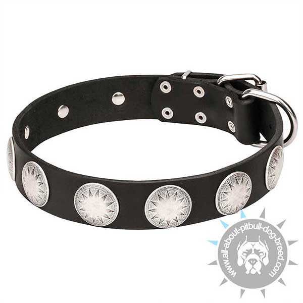    Luxurious Leather Dog Collar Decorated with Round Studs