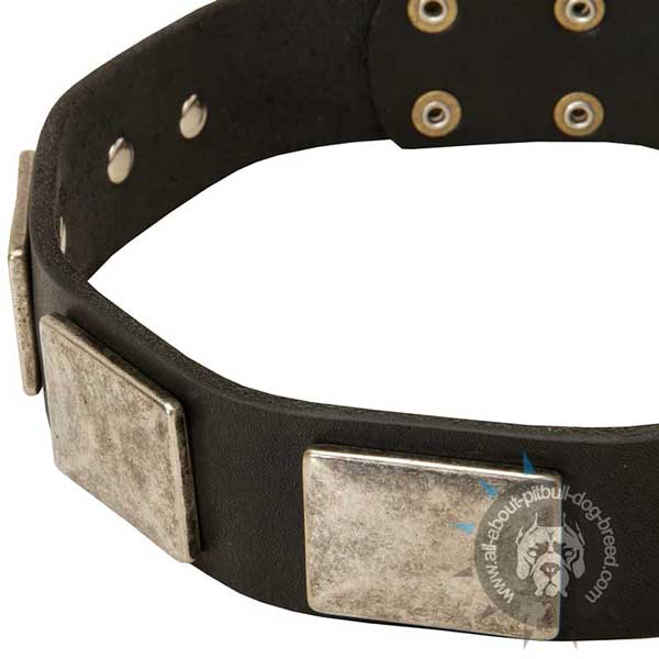 Handmade Pitbull Collar of Genuine Leather