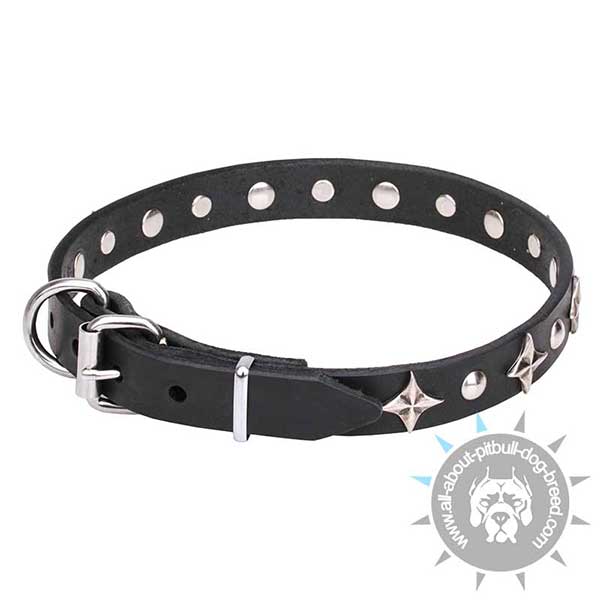 Stylish Walking Leather  Collar for Pitbull