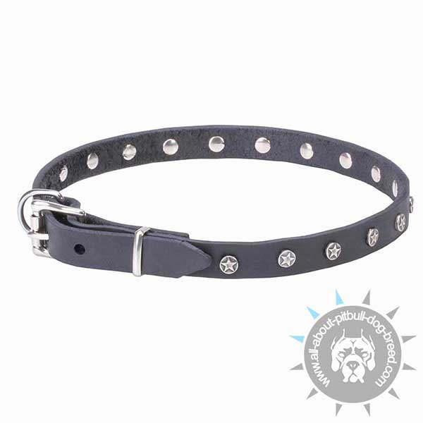 Decorated Leather Collar with Strong Buckle and D-ring
