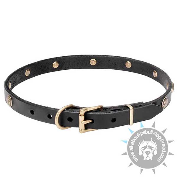 Studded Leather Dog Collar with Reliable Hardware