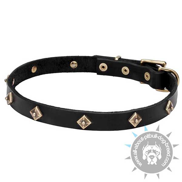 Narrow Leather Collar with Brass Rhombi Studs