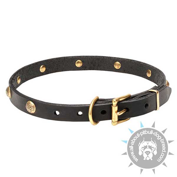Genuine Leather Collar with Brass Buckle and D-ring