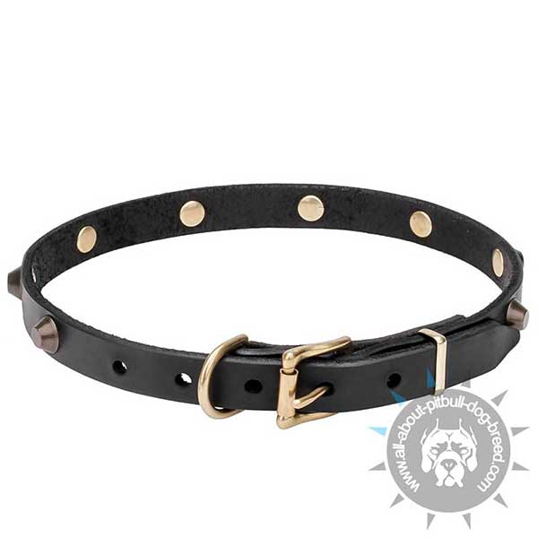 Leather Dog Collar with Brass Buckle and D-ring