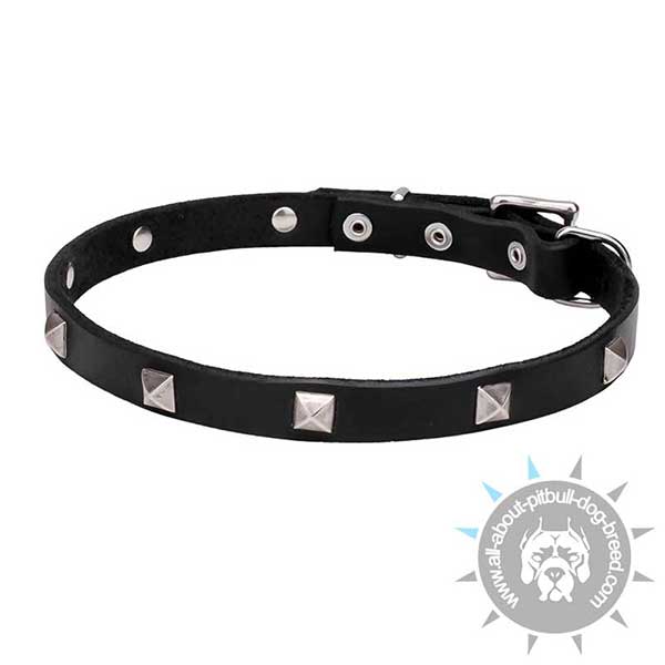 Studded Leather Dog Collar with Chrome-plated Decorations