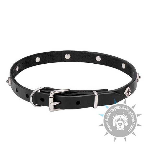 Durable Leather Dog Collar with Rustless Hardware