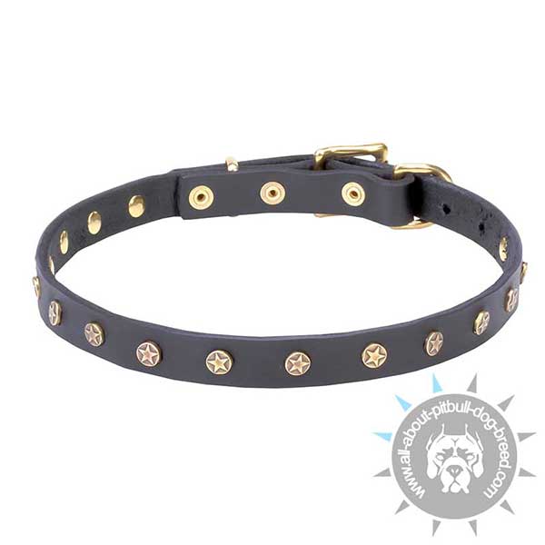 Leather Pitbull Collar with Star-shaped Studs