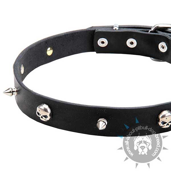 Unique Leather Collar with Spikes and Skulls