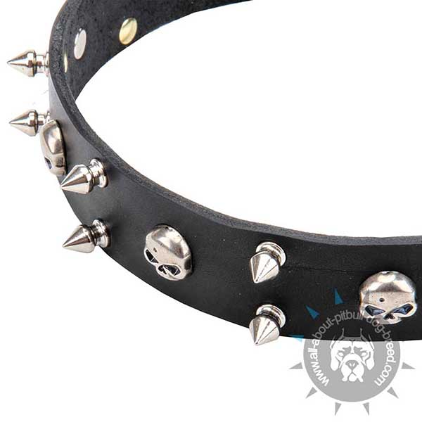 Genuine Leather Collar with Nickel-PLated Decorations