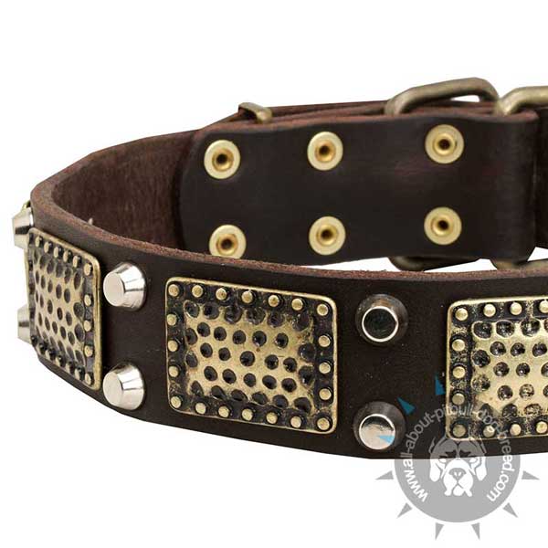 Functional Leather Pitbull Collar