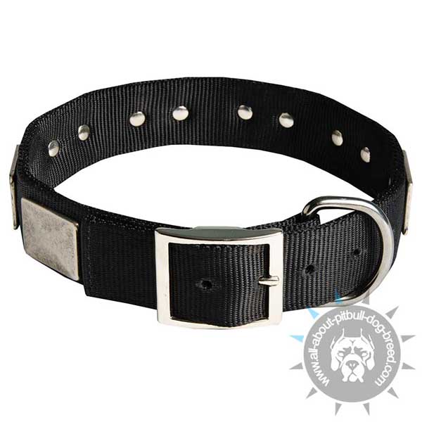 Nylon collar with rustproof plates