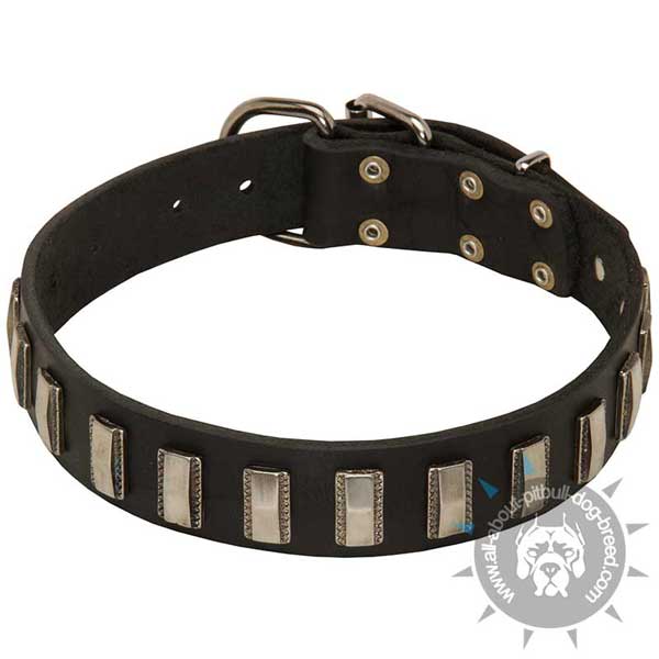 Fashion leather dog collar