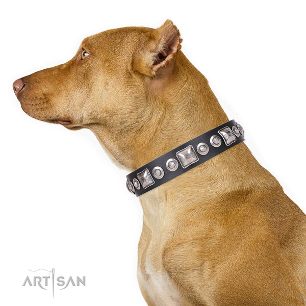 Stylish design adorned natural leather dog collar for comfy wearing