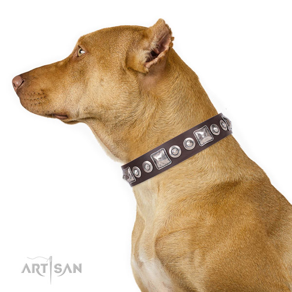 Stylish decorated leather dog collar for everyday use