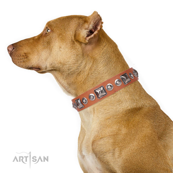Designer decorated genuine leather dog collar for handy use