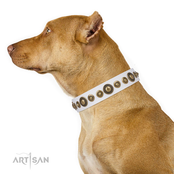 Strong buckle and D-ring on genuine leather dog collar for walking