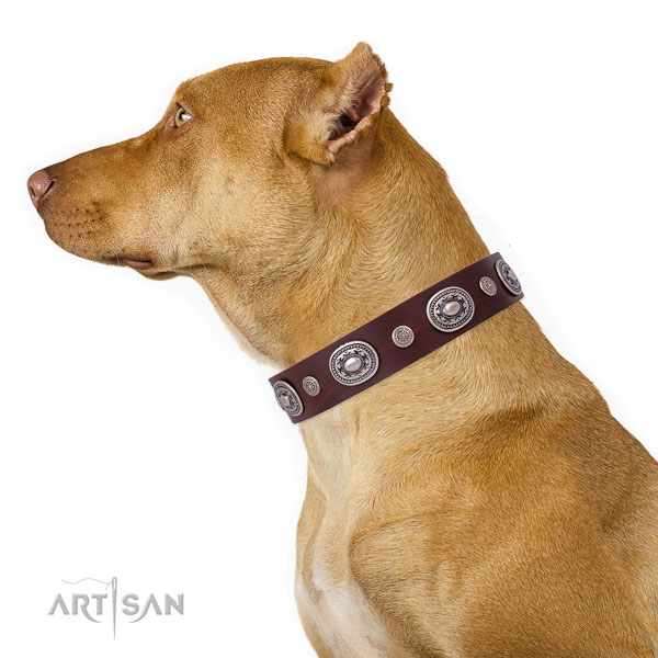 Rust resistant buckle and D-ring on full grain leather dog collar for daily walking