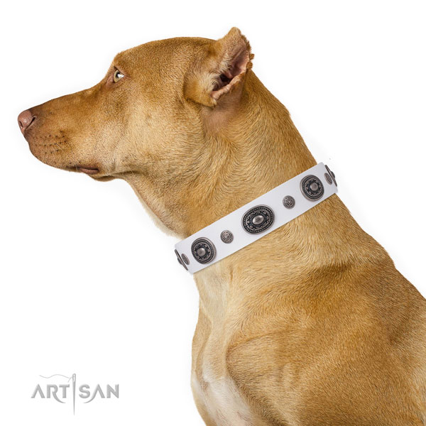 Full grain leather dog collar with reliable buckle and D-ring for comfy wearing