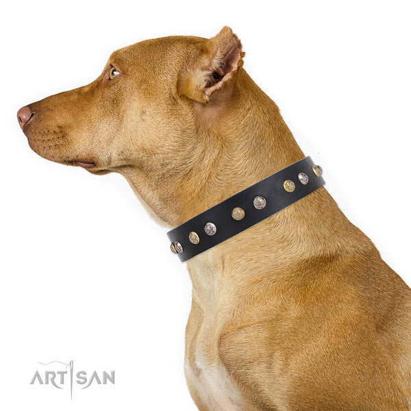 Full grain leather dog collar with rust resistant buckle and D-ring for easy wearing