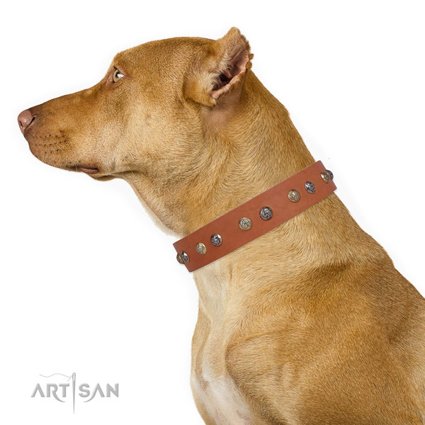 Leather dog collar with strong buckle and D-ring for easy wearing