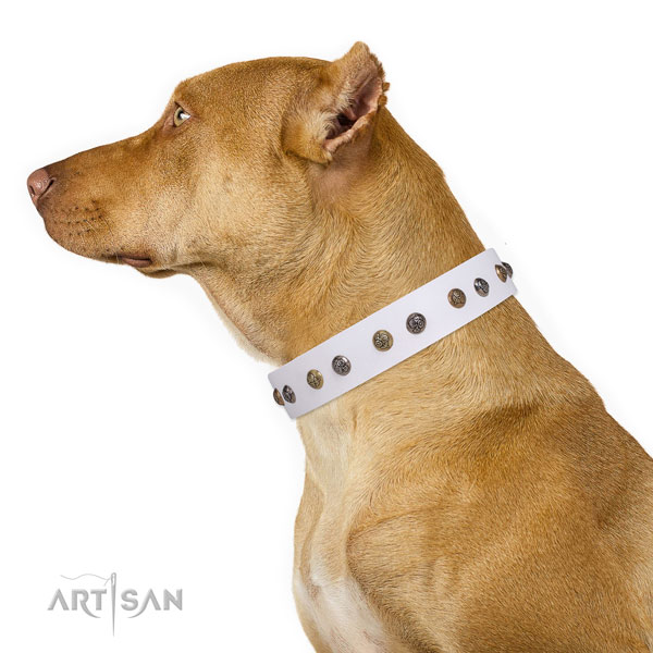 Comfy wearing decorated dog collar made of top notch natural leather
