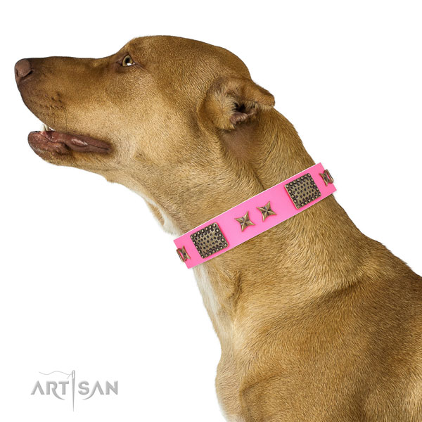 Fashionable studs on everyday use full grain natural leather dog collar