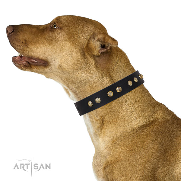 Awesome embellishments on daily walking natural genuine leather dog collar