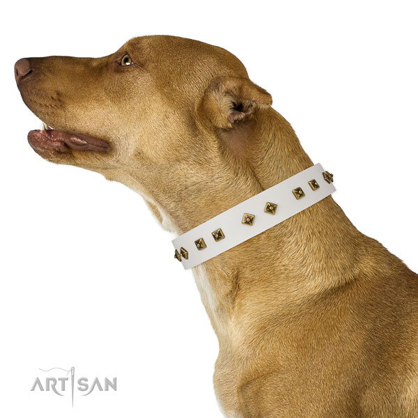 Awesome decorations on handy use dog collar