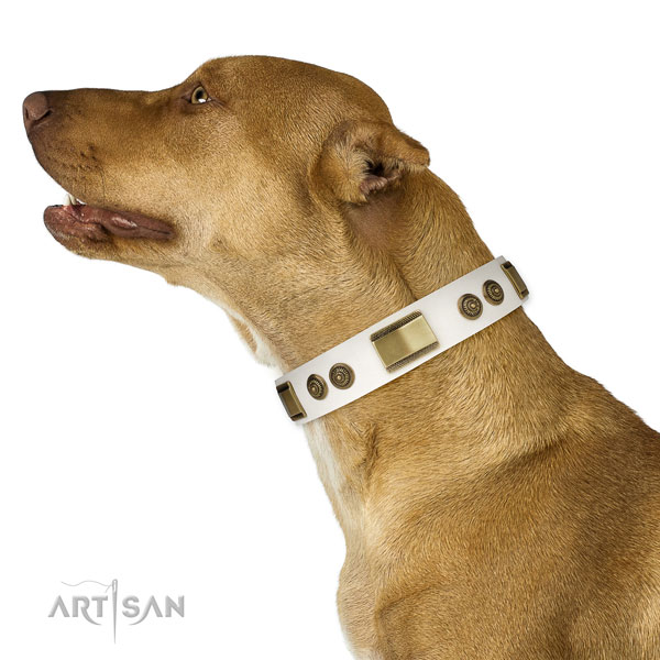 Strong stylish walking dog collar of natural leather