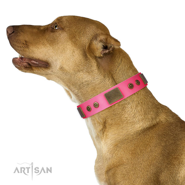 Exquisite full grain natural leather collar for your beautiful dog