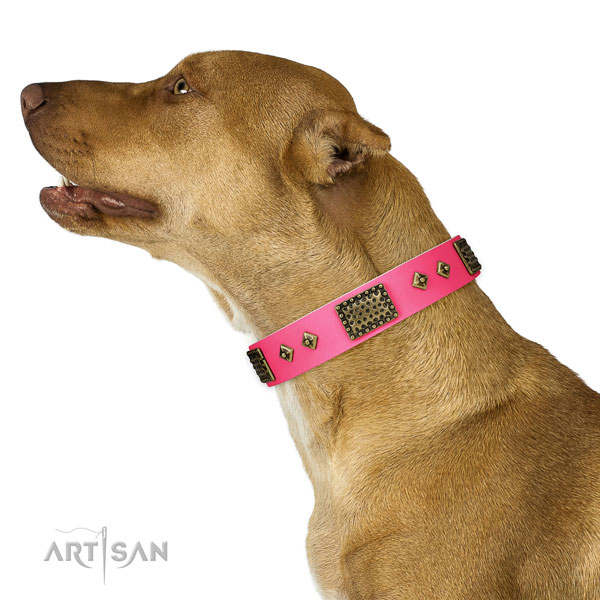 Perfect fit genuine leather collar for your handsome doggie
