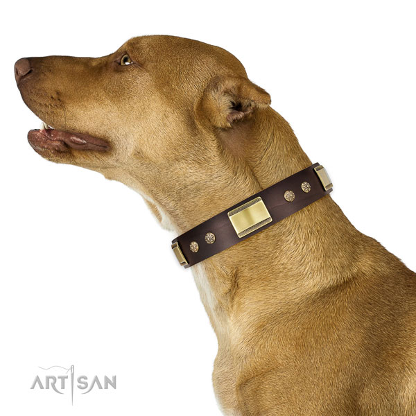 Easy wearing dog collar of natural leather with significant studs