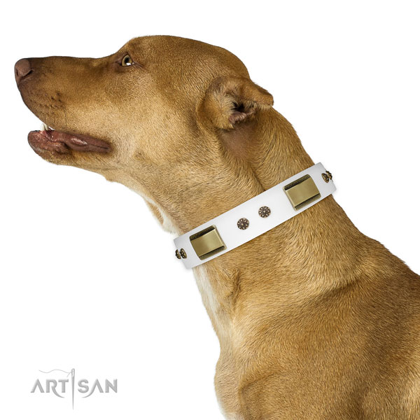Easy wearing dog collar of natural leather with designer embellishments