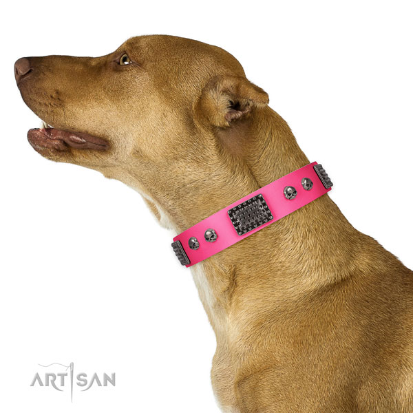 Top notch leather collar for your impressive dog