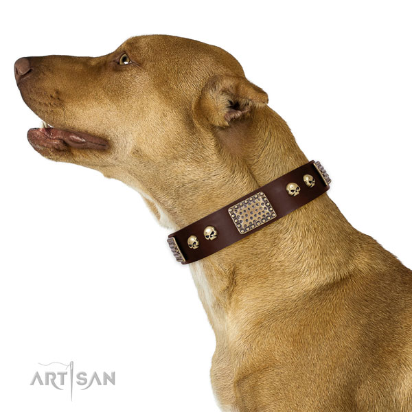 Rust-proof hardware on full grain genuine leather dog collar for fancy walking