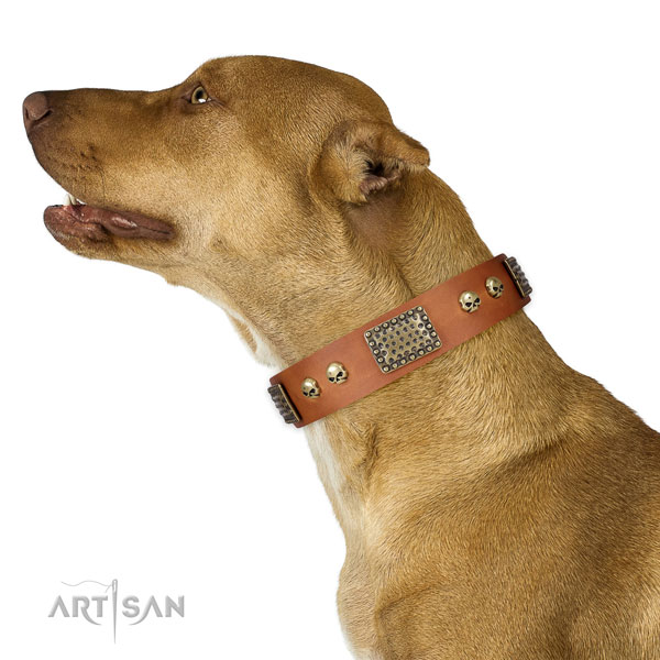 Corrosion resistant traditional buckle on full grain leather dog collar for walking