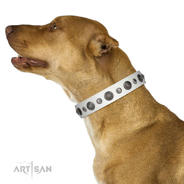 Handcrafted full grain leather dog collar with corrosion proof hardware