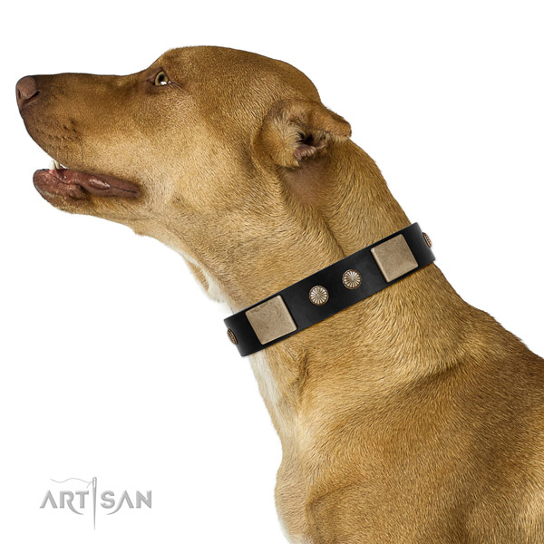 Handcrafted leather collar for your attractive four-legged friend